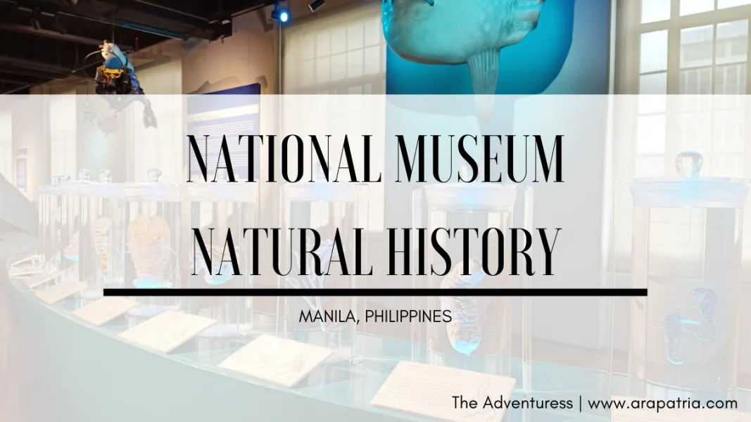 ALT="national museum natural history manila"