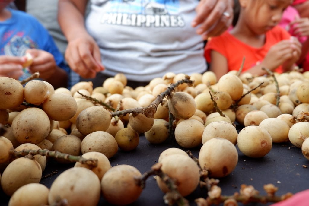 sweet lanzones fruit festival in camiguin