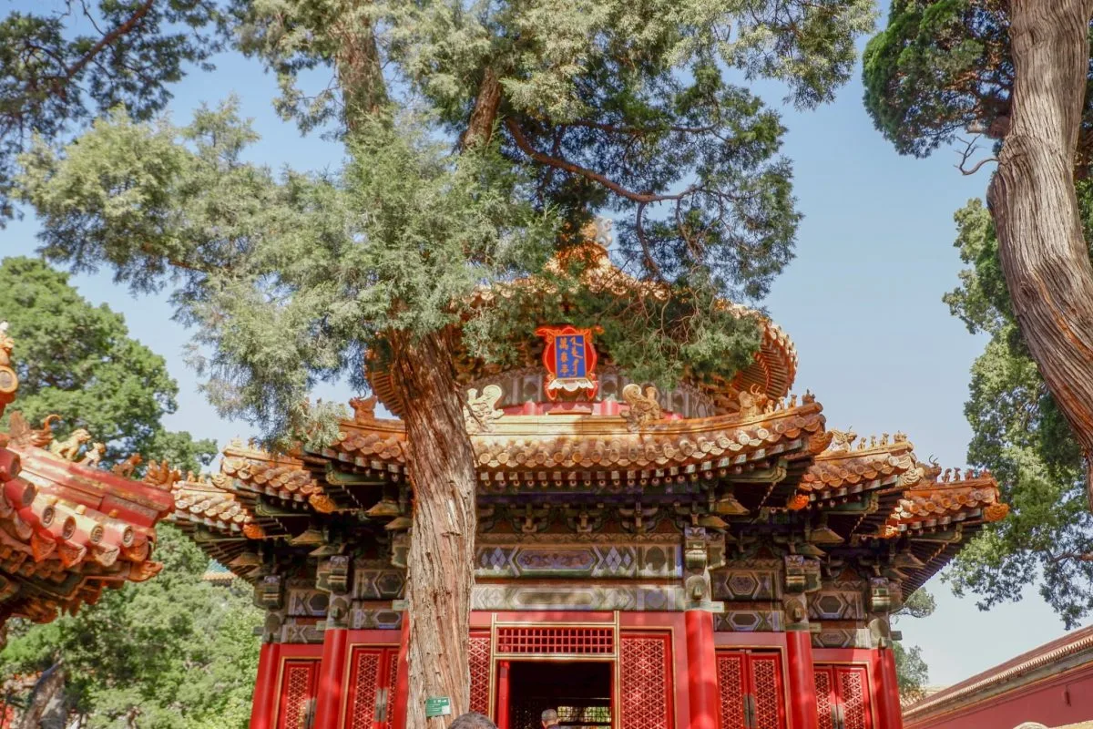 easy chinese visa application guide for filipinos