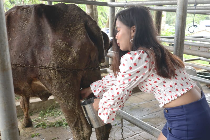 interaction with the animals