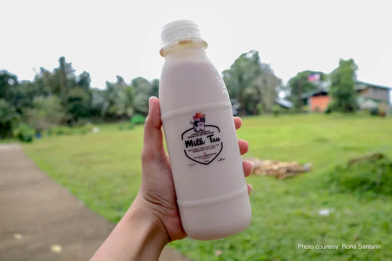 fresh milk from cows