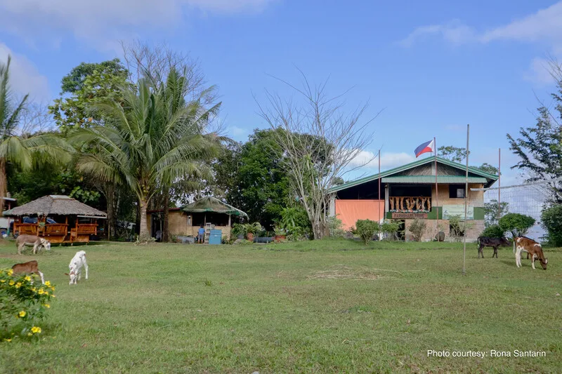 farm t-house camping site