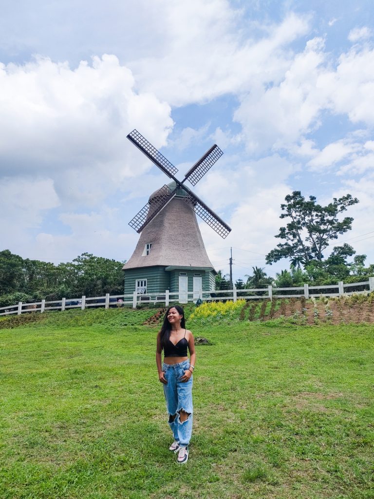 the huge windmill of the old grove farmstead batangas