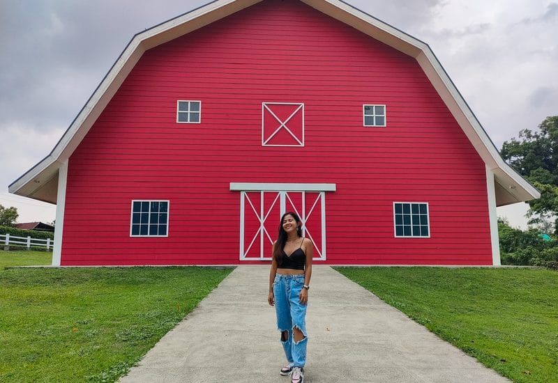 the red barn at the old grove farmstead lipa
