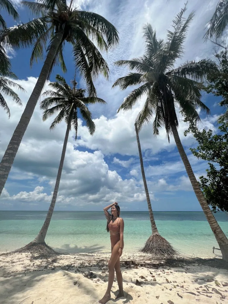 white sand beach with coconute trees