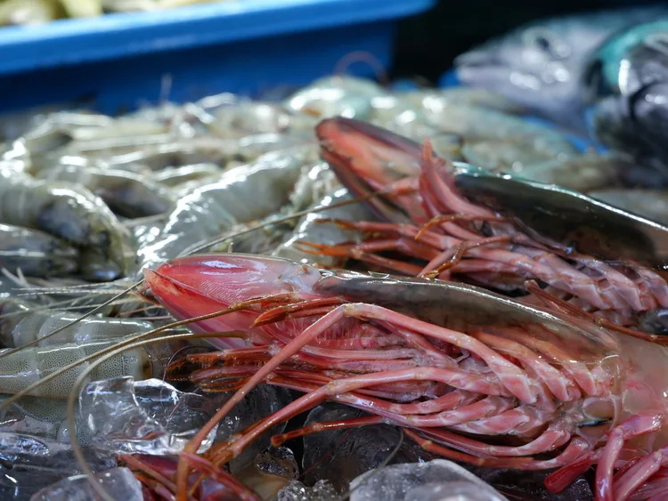 affordable fresh seafood in boracay