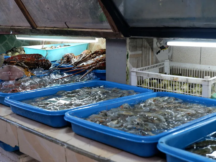 fresh seafood paluto in boracay