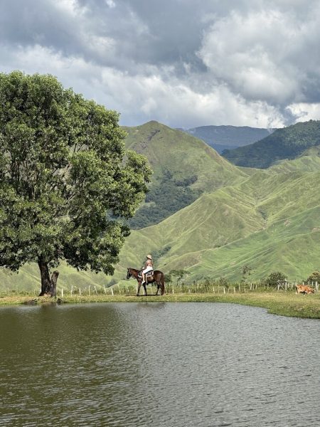 the communal ranch and man made pond in bukidnon