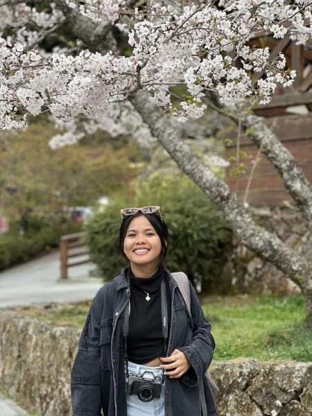 alishan national park taiwan