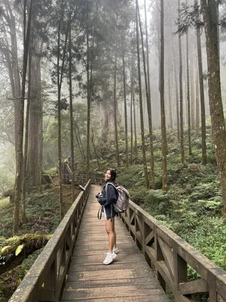 alishan national park travel guide