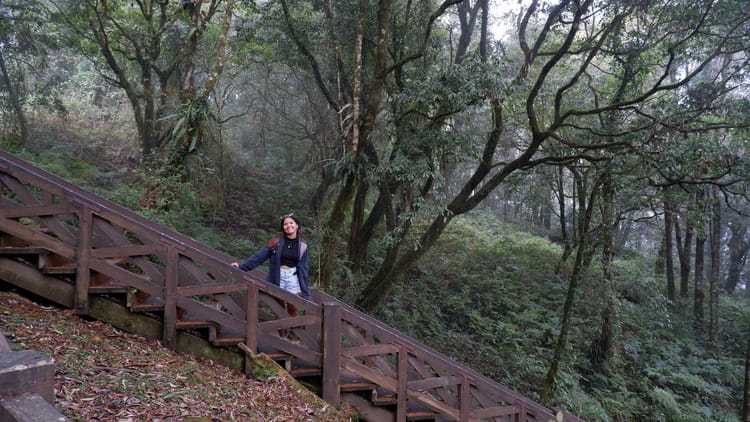 solo travel guide to alishan