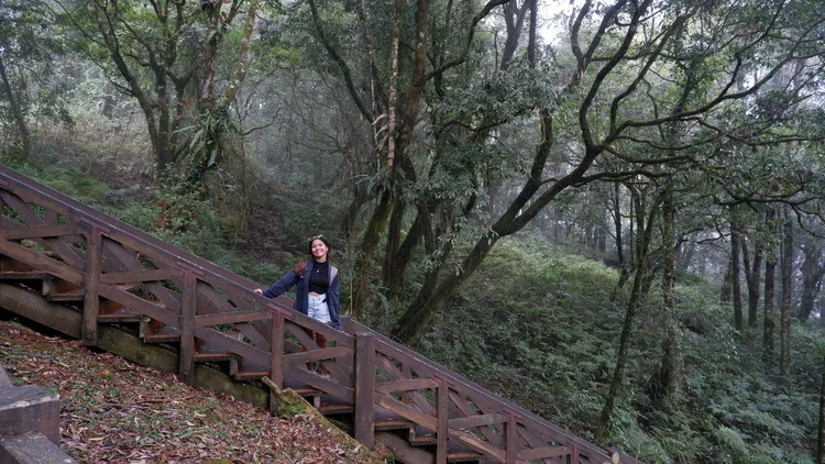 solo travel guide to alishan
