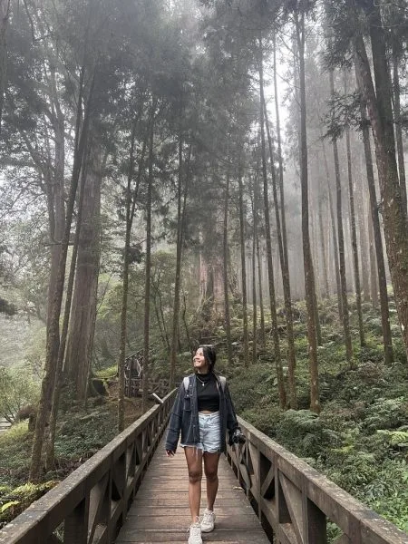 alishan taiwan travel guide