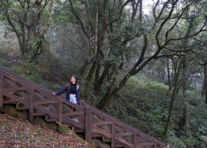alishan day tour travel guide