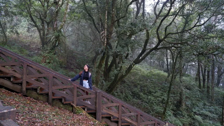 alishan day tour travel guide