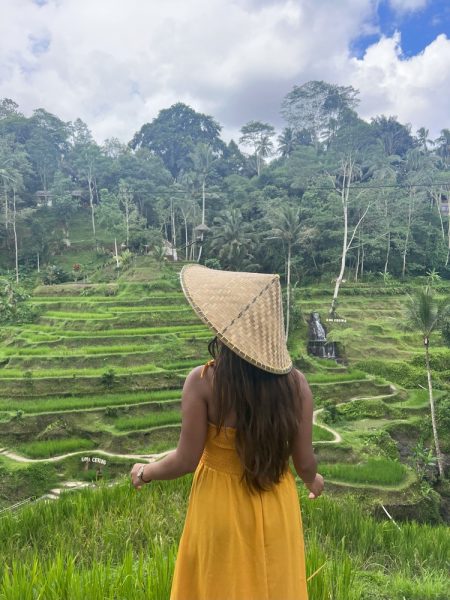 tegalalang rice terraces ubud travel guide