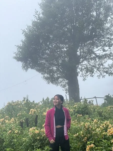 northern blossom flower farm day tour