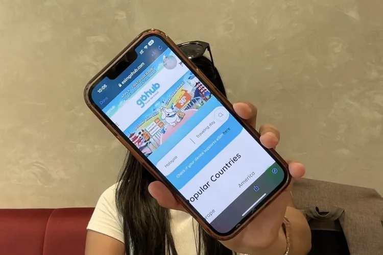 travel the world with gohub esim