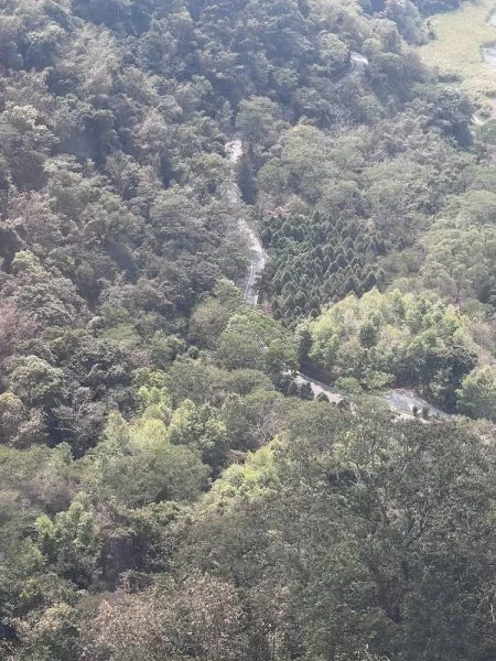 sun moon lake ropeway day trip