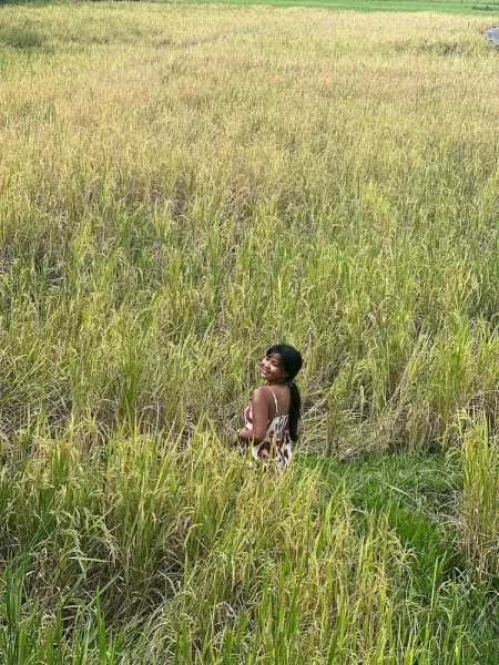 a resort in the middle of the paddy fields