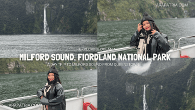 a day trip to milford sound from queenstown